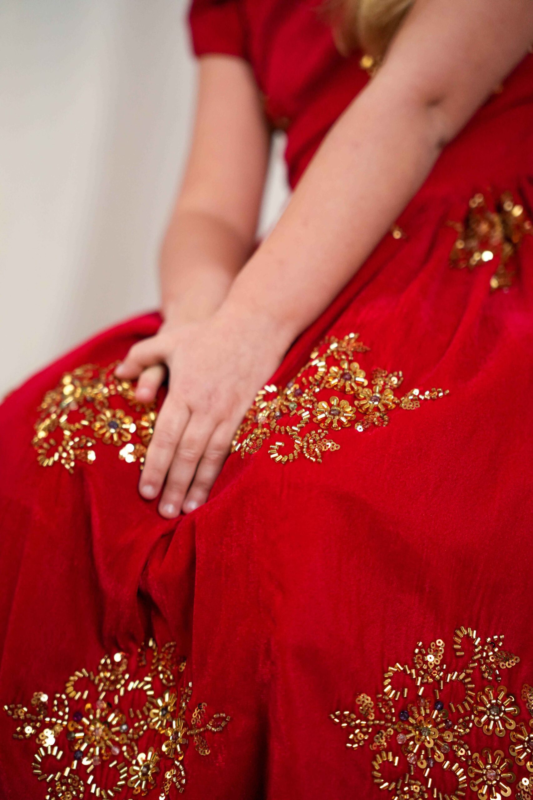 Vestido Princesa Aurora